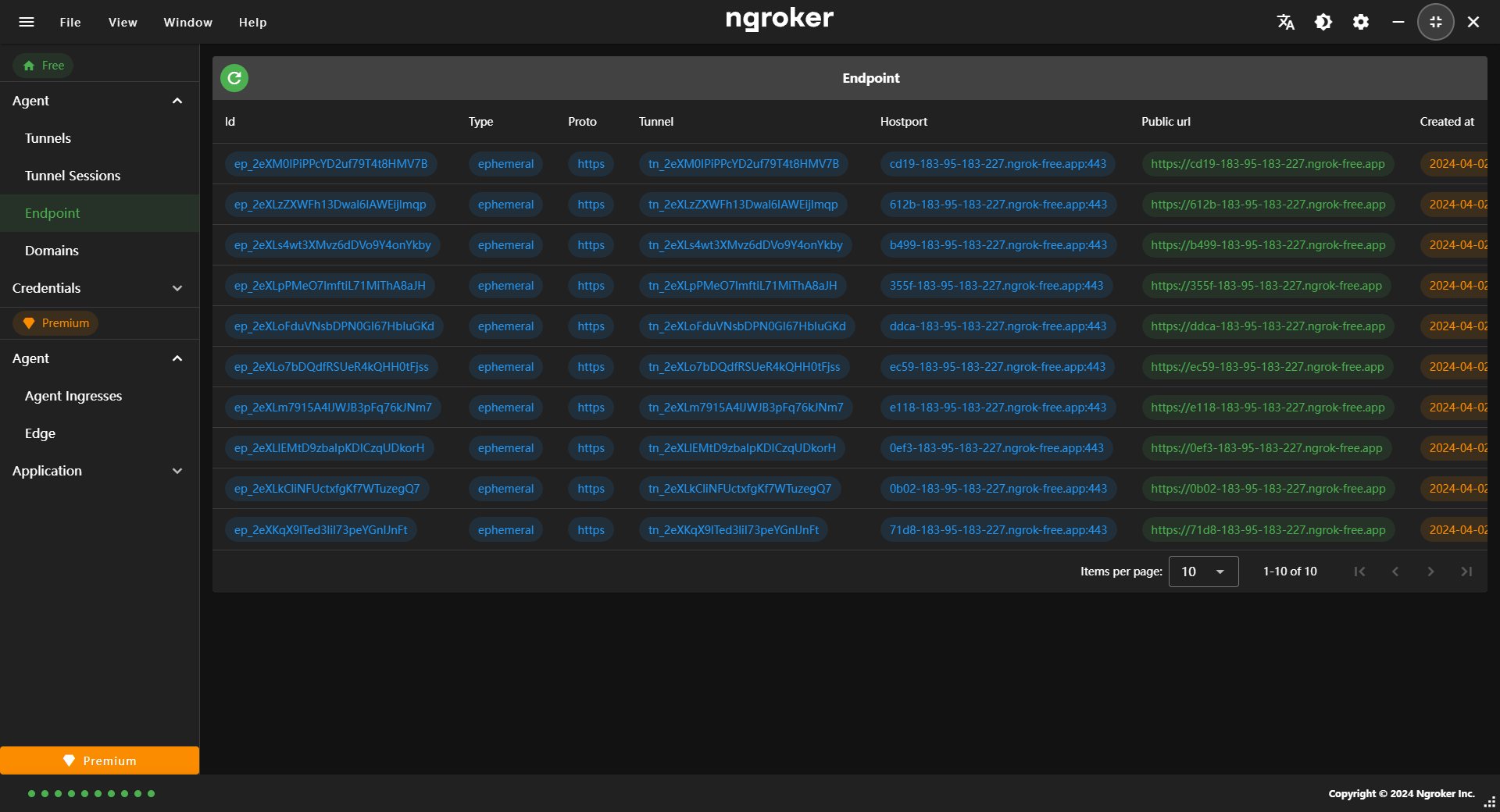 ngroker endpoints